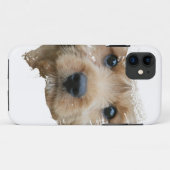 Niedlicher Hund Case-Mate iPhone Hülle (Rückseite (Horizontal))