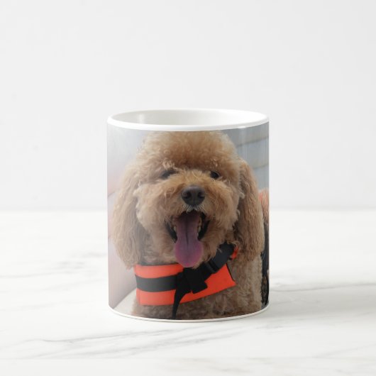 Niedlicher Hund Cockapoo Beste Freundfotografie Kaffeetasse (Mittel)