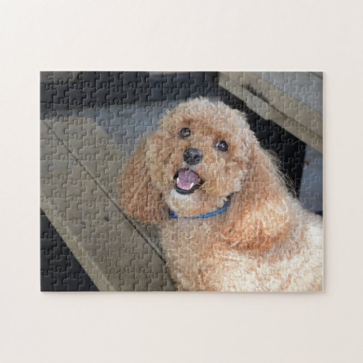 Niedlicher Hund Cockapoo Rasse Bester Freund Tier Puzzle (Horizontal)