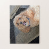 Niedlicher Hund Cockapoo Rasse Bester Freund Tier Puzzle (Vertikal)