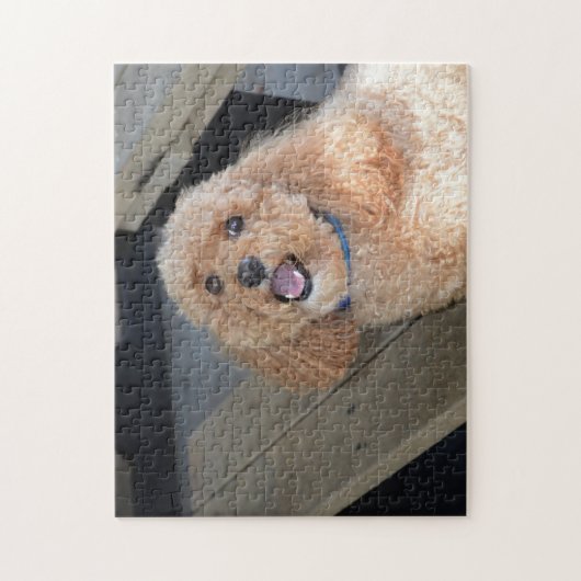 Niedlicher Hund Cockapoo Rasse Bester Freund Tier  Puzzle (Vertikal)