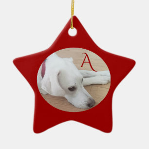 Niedlicher Hund Custom Single Initial Red Christma Keramik Ornament
