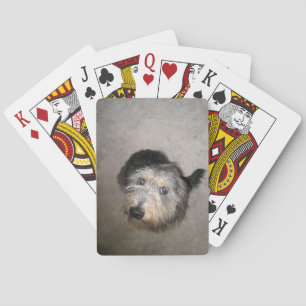 Niedlicher Hund, der oben schaut Spielkarten