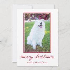 Niedlicher Hund Einfaches Foto Weihnachten