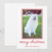 Niedlicher Hund Einfaches Foto Weihnachten (Vorne/Hinten)