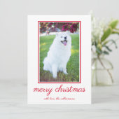 Niedlicher Hund Einfaches Foto Weihnachten (Stehend Vorderseite)