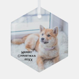 Niedlicher Hund Foto Glas Ornamente Weihnachtsfeie