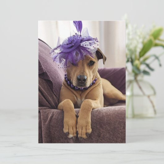 Niedlicher Hund Foto-Karte extravagantes Kleid Dankeskarte (Stehend Vorderseite)