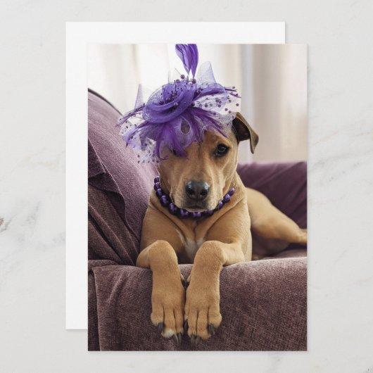 Niedlicher Hund Foto-Karte extravagantes Kleid Dankeskarte (Vorne/Hinten)