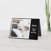 Niedlicher Hund Funny 40. Geburtstag Karte (Vorderseite)