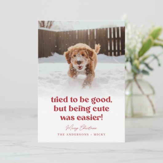 Niedlicher Hund Funny Pet Foto Weihnachten (Stehend Vorderseite)