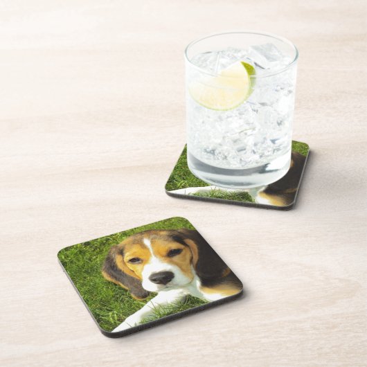 Niedlicher Hund Getränkeuntersetzer (Rechte Seite)