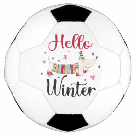 Niedlicher Hund Hallo Winter Fußball
