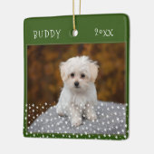 Niedlicher Hund Haustier 2 Fotos Star Pattern Grün Keramikornament (Links)