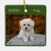 Niedlicher Hund Haustier 2 Fotos Star Pattern Grün Keramikornament (Vorderseite)