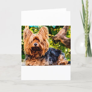 Niedlicher Hund Haustier Yorkie Peace Liebe Reisez Dankeskarte