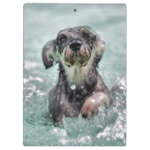 Niedlicher Hund Hunde Schwimmen Klemmbrett (Rückseite)
