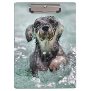 Niedlicher Hund Hunde Schwimmen Klemmbrett