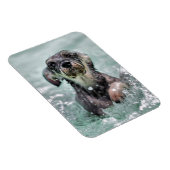 Niedlicher Hund Hunde Schwimmen Magnet (Rechte Seite)