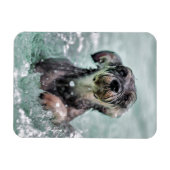 Niedlicher Hund Hunde Schwimmen Magnet (Horizontal)