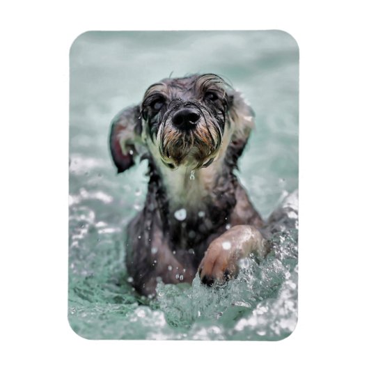 Niedlicher Hund Hunde Schwimmen Magnet (Vertikal)