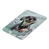 Niedlicher Hund Hunde Schwimmen Magnet (Linke Seite)