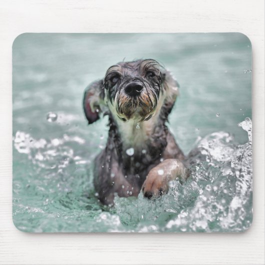 Niedlicher Hund Hunde Schwimmen Mousepad (Vorne)