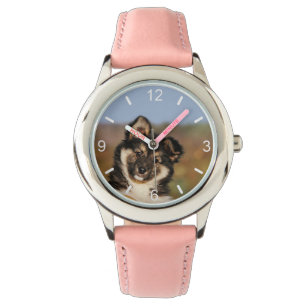 Niedlicher Hund isländisch Sheepdog Welpe in einem Armbanduhr