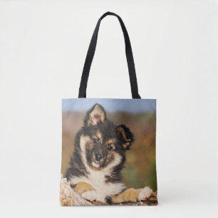 Niedlicher Hund isländisch Sheepdog Welpe in einem Tasche