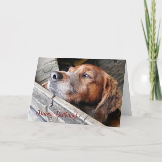 NIEDLICHER HUND KARTE (Vorderseite)