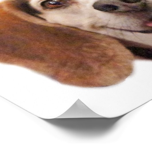 Niedlicher Hund lächelnd Foto Lächeln Zitat Beagle Poster (Ecke)