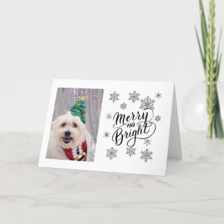 Niedlicher Hund Maltese Bichon Weihnachtskarte Feiertagskarte