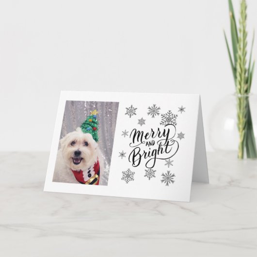 Niedlicher Hund Maltese Bichon Weihnachtskarte Feiertagskarte (Vorderseite)