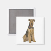 Niedlicher Hund Mama Hund Lover Airedale Terrier Magnet (Vorderseite/Rückseite)