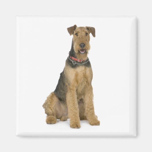 Niedlicher Hund Mama Hund Lover Airedale Terrier Magnet (Vorne)