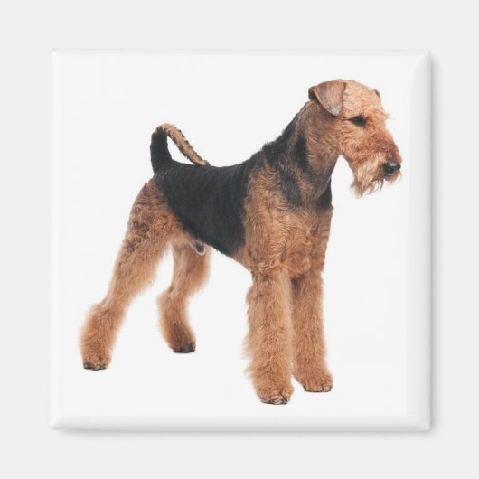 Niedlicher Hund Mama Hund Lover Airedale Terrier Magnet (Vorne)