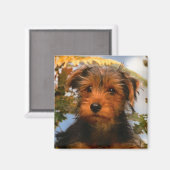 Niedlicher Hund Mama Hund Lover Airedale Terrier Magnet (Vorderseite/Rückseite)