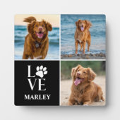 Niedlicher Hund mehr als 3 Fotosammlungen Haustier Fotoplatte (Vorderseite)