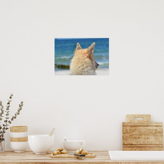 Niedlicher Hund mit Blick auf den Strand Poster (Küche)
