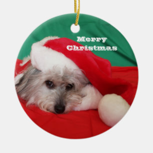 Niedlicher Hund mit Hat Weihnachtsschmuck