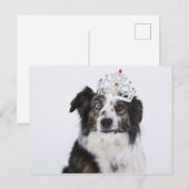 Niedlicher Hund mit Krone Postkarte (Vorne/Hinten)