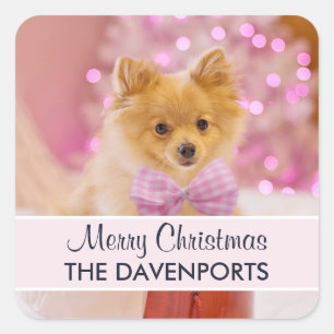 Niedlicher Hund mit Pink Bow Frohe Weihnachten Fot Quadratischer Aufkleber