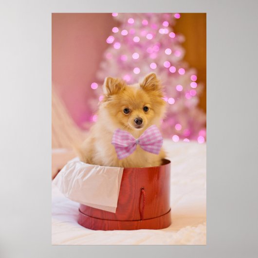 Niedlicher Hund mit Pink Bow Weihnachts-Foto Poster (Vorne)