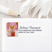 Niedlicher Hund mit Pink Bow Weihnachtsfoto (Insitu)