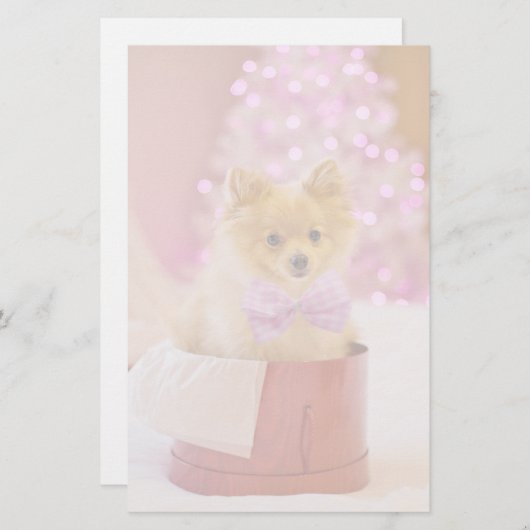 Niedlicher Hund mit Pink Bow Weihnachtsfoto Briefpapier (Vorne/Hinten)