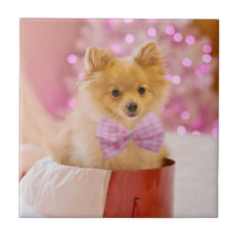 Niedlicher Hund mit Pink Bow Weihnachtsfoto