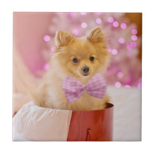 Niedlicher Hund mit Pink Bow Weihnachtsfoto Fliese