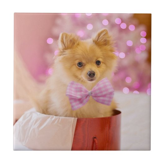 Niedlicher Hund mit Pink Bow Weihnachtsfoto Fliese (Vorderseite)