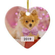 Niedlicher Hund mit Pink Bow Weihnachtsfoto