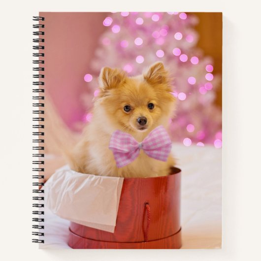 Niedlicher Hund mit Pink Bow Weihnachtsfoto Notizblock (Vorderseite)